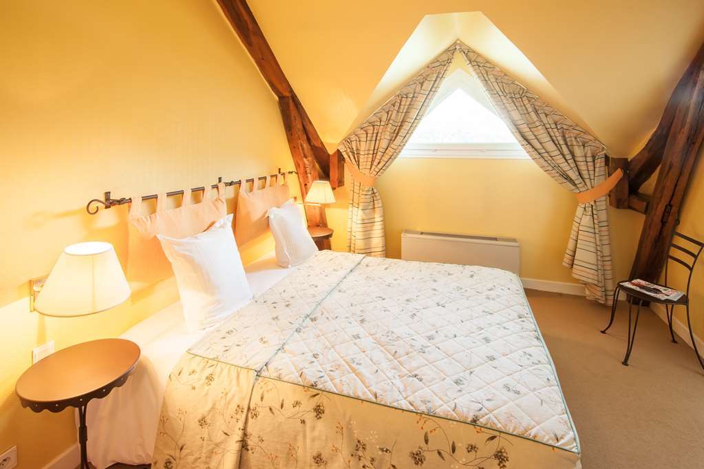 ホテル Logis Domaine De Valaudran サルブリ 部屋 写真